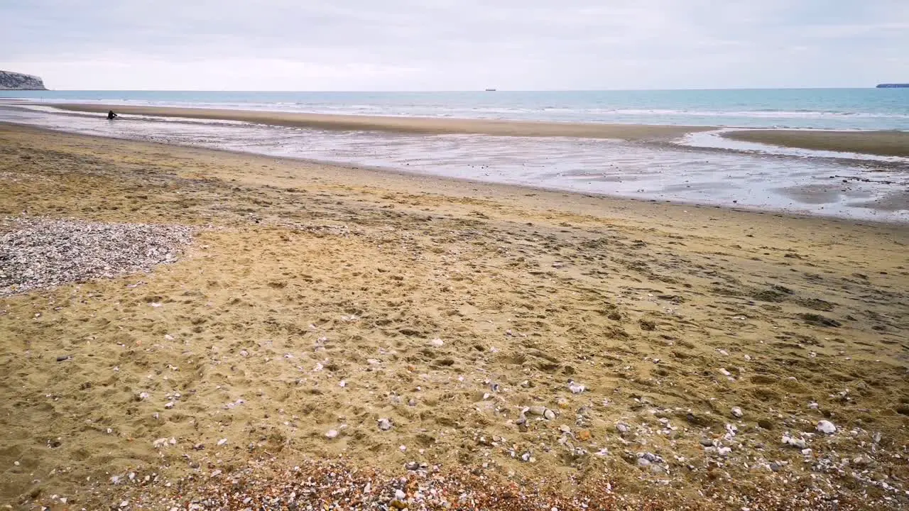 A day at the beach