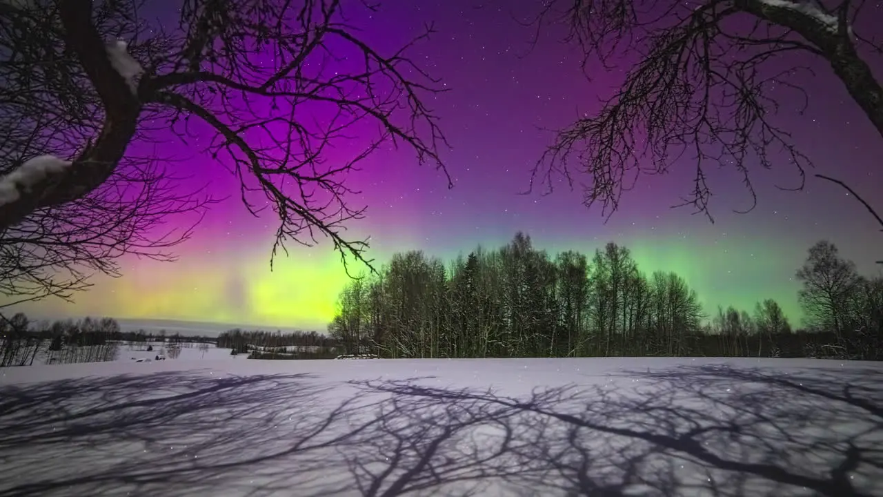 Purple and green colored Northern Lights sky over forest landscape during winter day Time lapse