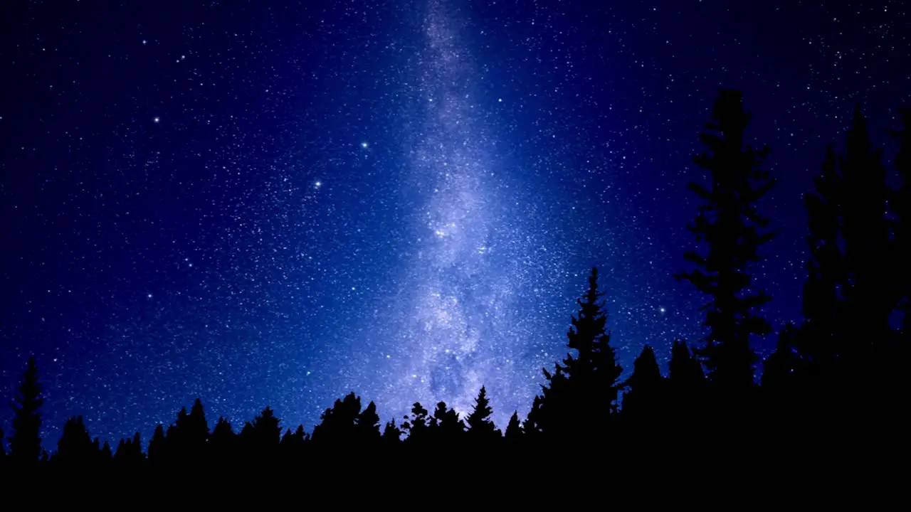 Timelapse of nightsky showing milky way moving from left to right with silhouetted pine forest