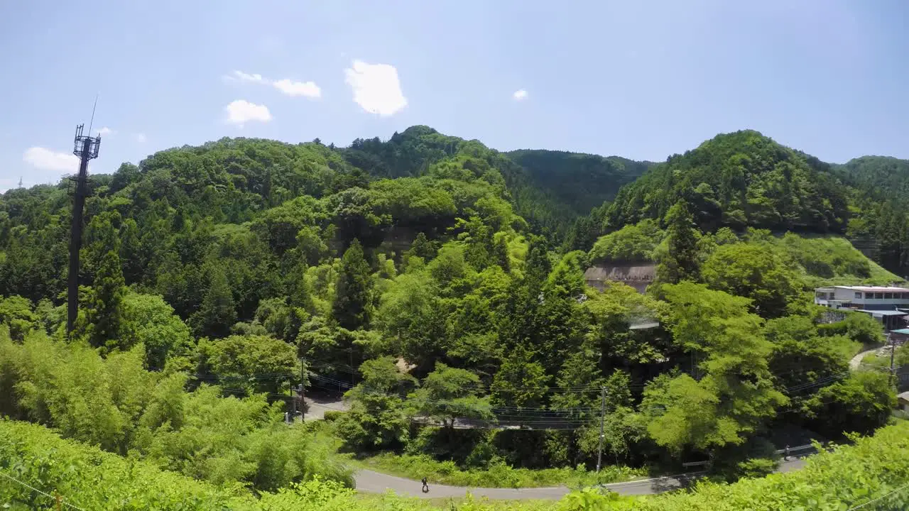 Bus tour with a go pro side view of the forest passing by