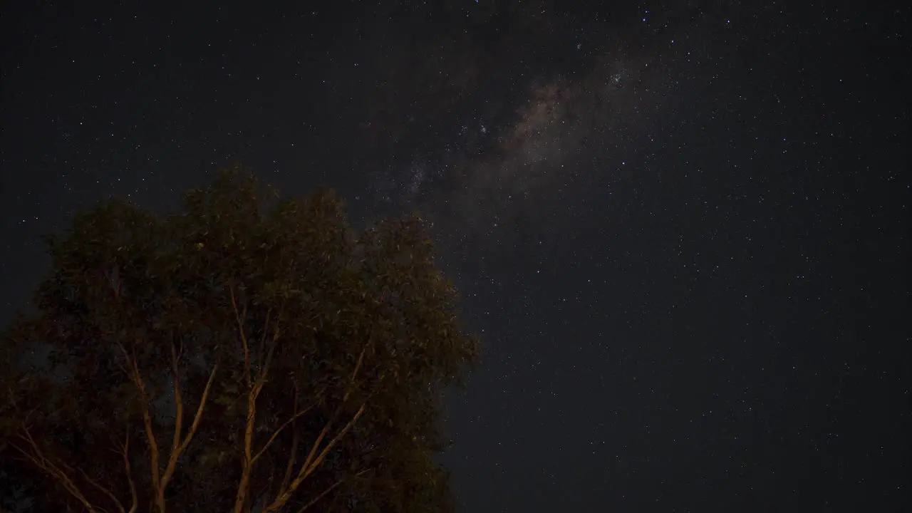 Time lapse shot of night sky with flying stars and tree silhouette at night