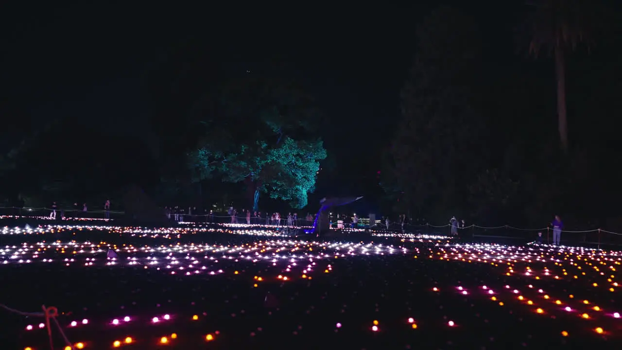 Hundreds of Glowing Flashing Lights on the Ground at Sydney Botanic Gardens during Vivid in Slow Motion