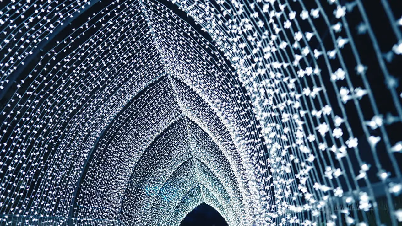 Stunningly Beautiful White Light Display in Sydney Botanic Gardens during Vivid in Slow Motion Tracking Shot