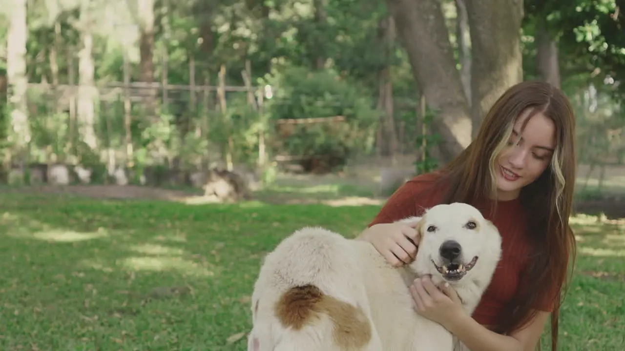 Mujer Joven Acaricia Un Perro Grande Al Aire Libre 1