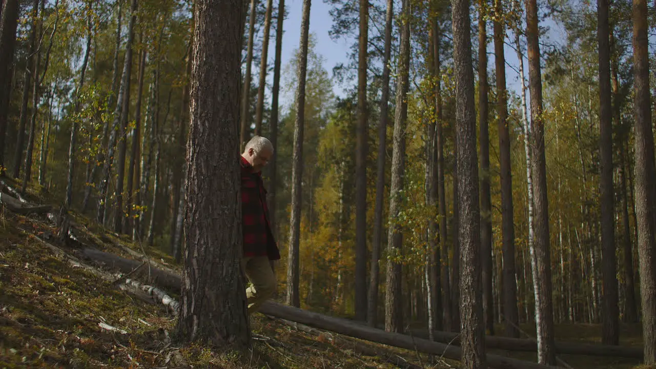 forester is walking in woodland at autumn checking forest district middle-aged man with backpack is hiking alone