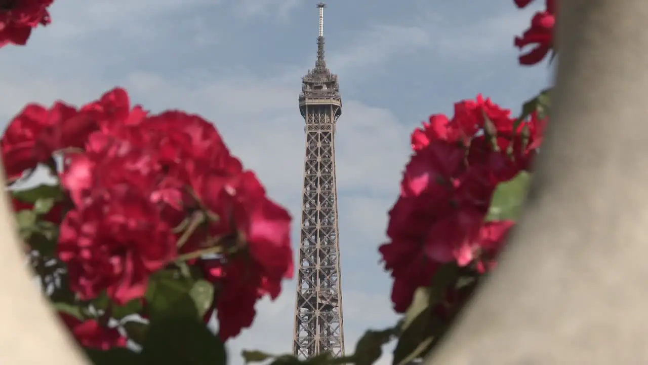 Eiffel Tower and Red Flowers