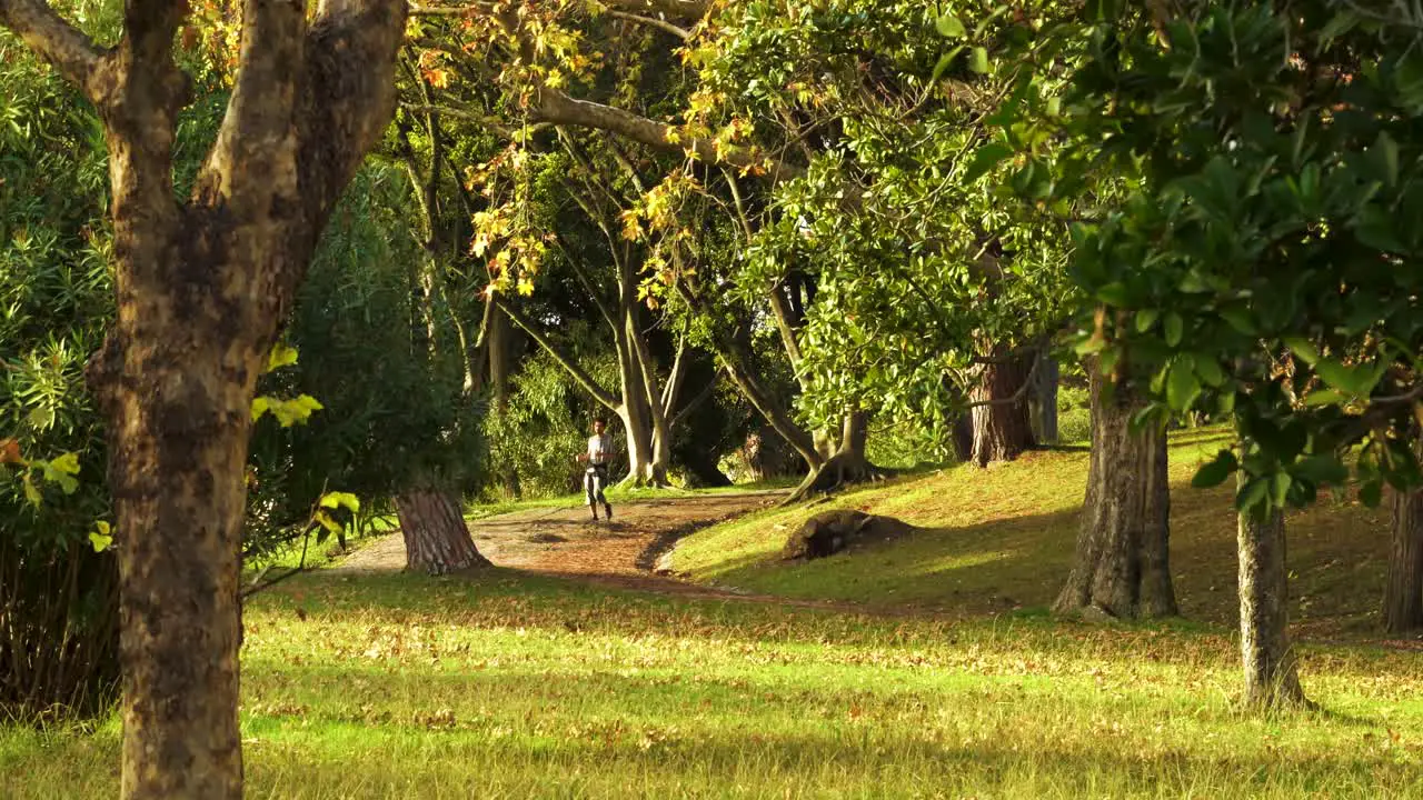 Boy Get running on the Park this Autumn