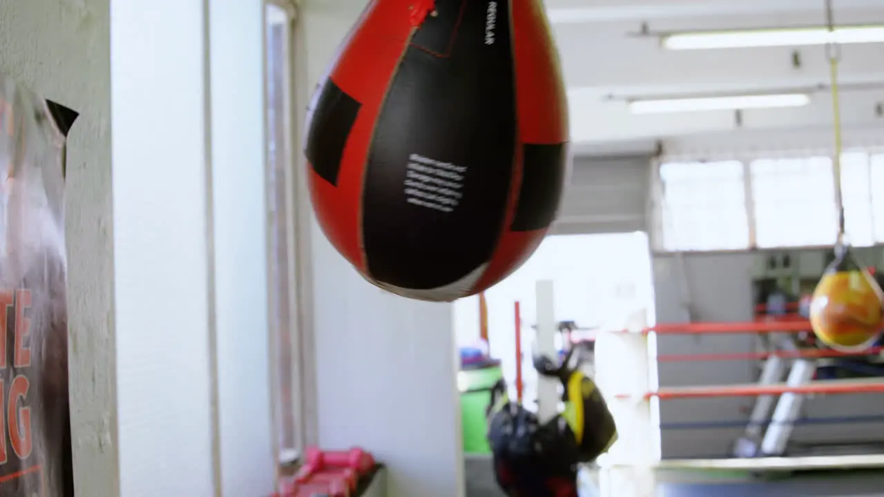 Speed bag hanging in fitness studio 4k