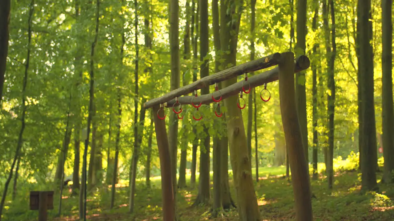 Gym equipment installed in the middle of the forest in an outdoor area