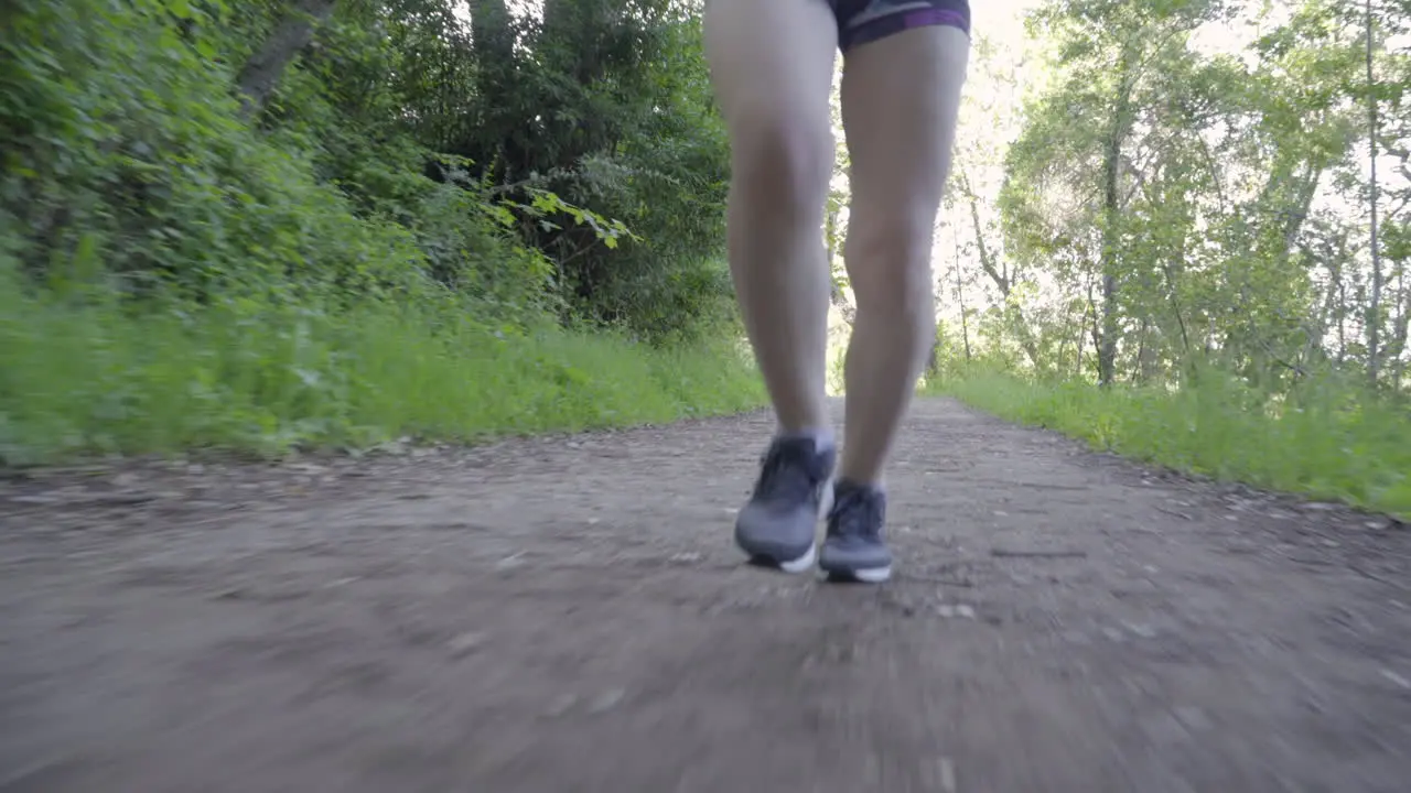 Legs of Young Woman Running on a Forest Trail at Sunset