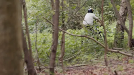 View Through Trees Of Man On Mountain Bike Cycling Along Trail Through Woodland