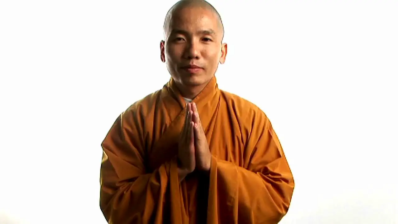 A Buddhist monk wearing an orange robe 2