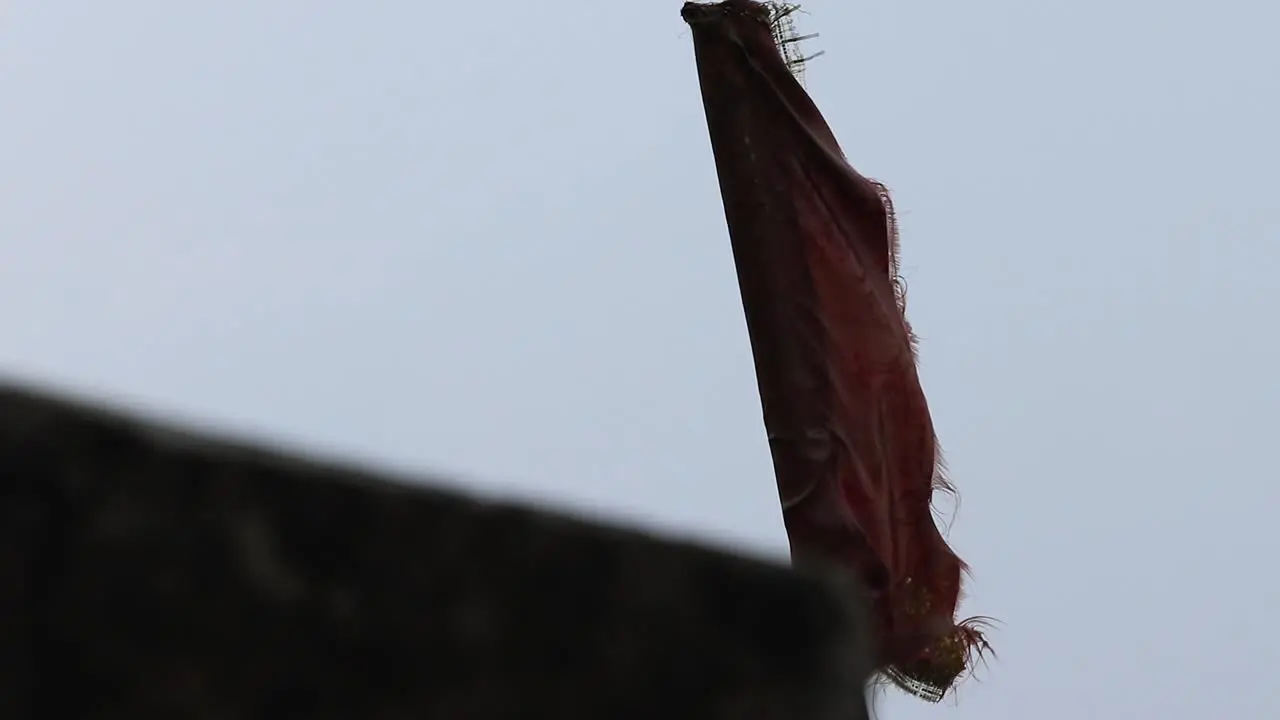 hindu flag rising with winds after the storm