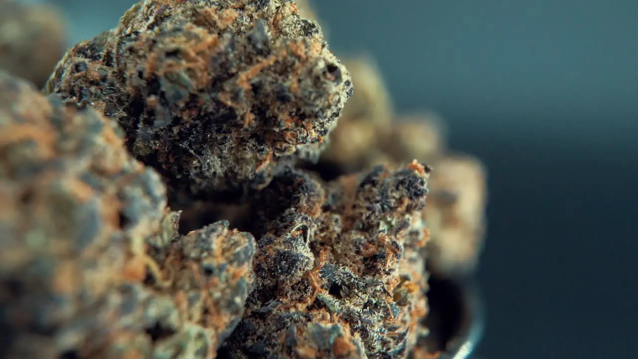 A macro cinematic detailed shot of a cannabis plant orange hybrid strains Indica and sativa  purple marijuana flower on a rotating stand slow motion Full HD studio lighting