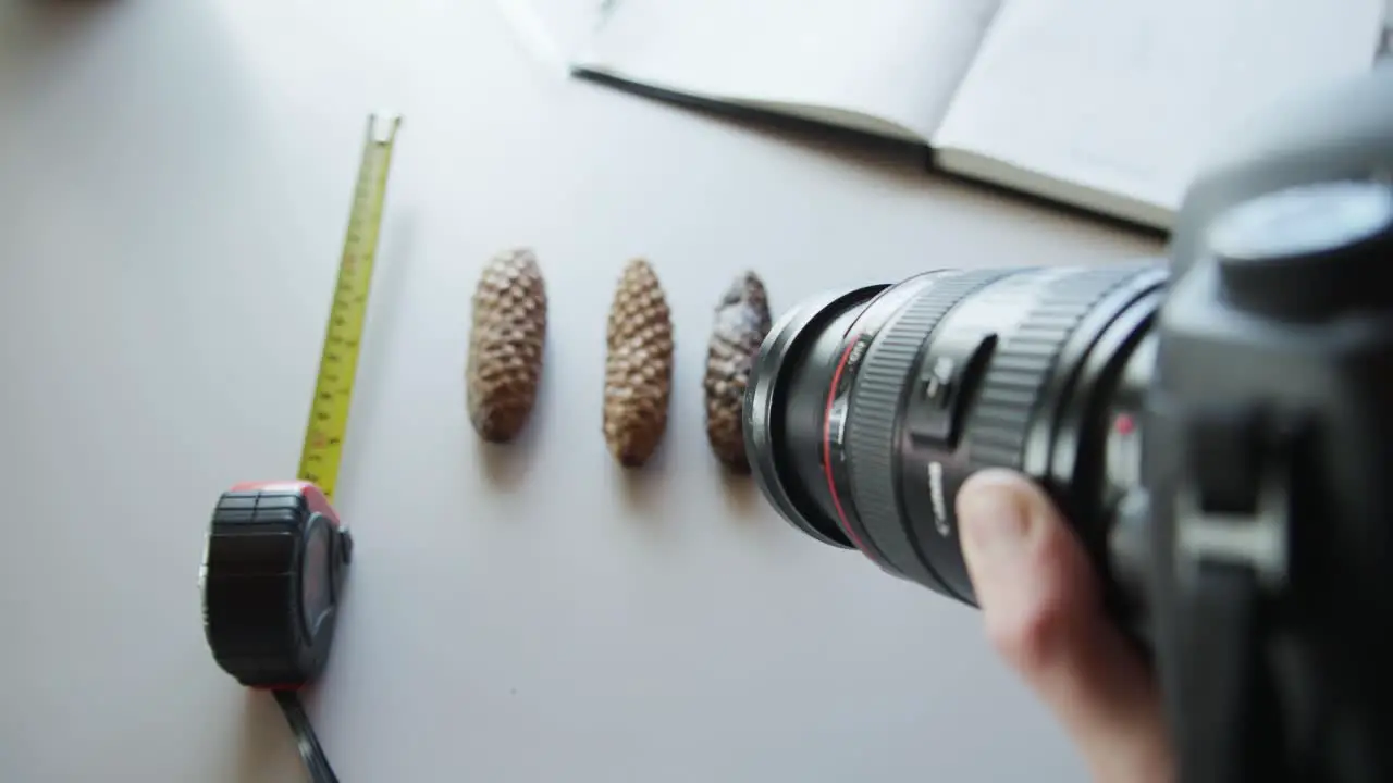 Top-Down View of DSLR Capturing Different Sizes of Acorns in Lab