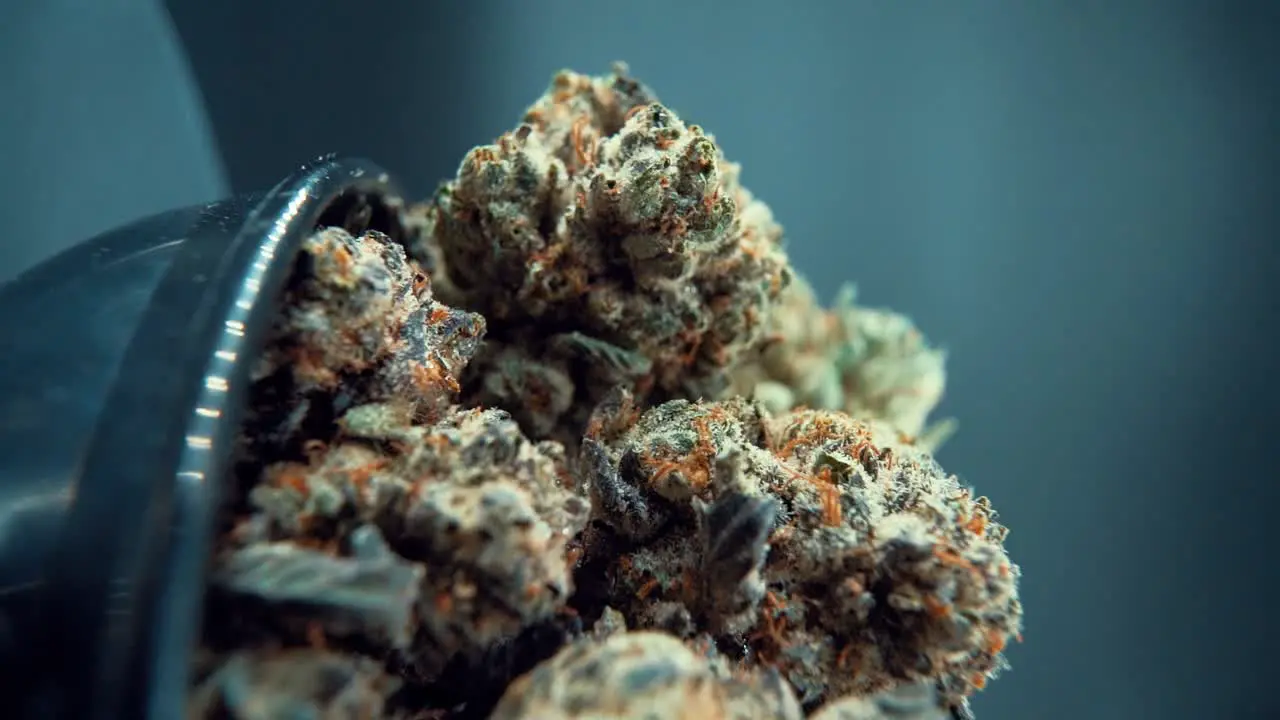 A vertical macro close up cinematic shot of a cannabis plant marijuana flower hybrid strains Indica and sativa on a 360 rotating stand in a shiny bowl 120 fps slow motion Full HD