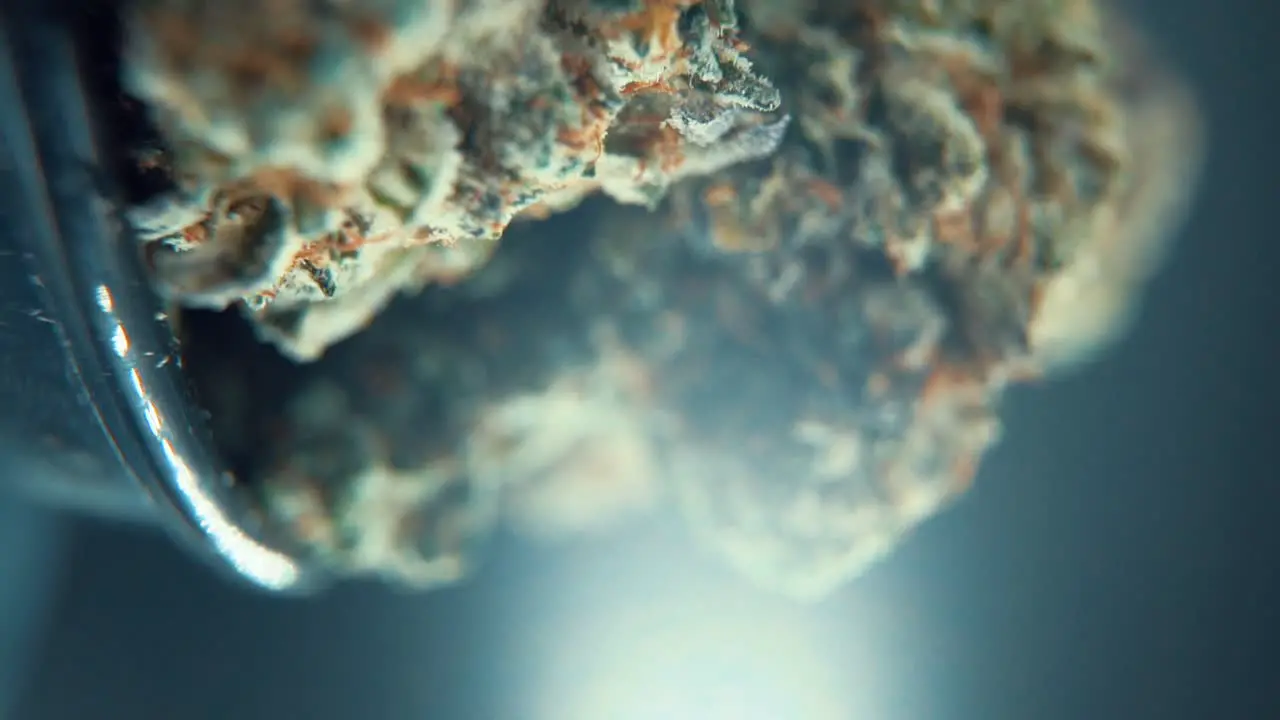 A vertical macro cinematic detailed shot of a cannabis plant hybrid orange strains green leaf Indica marijuana flower on a 360 rotating stand Full HD super slow motion 120 fps studio lighting