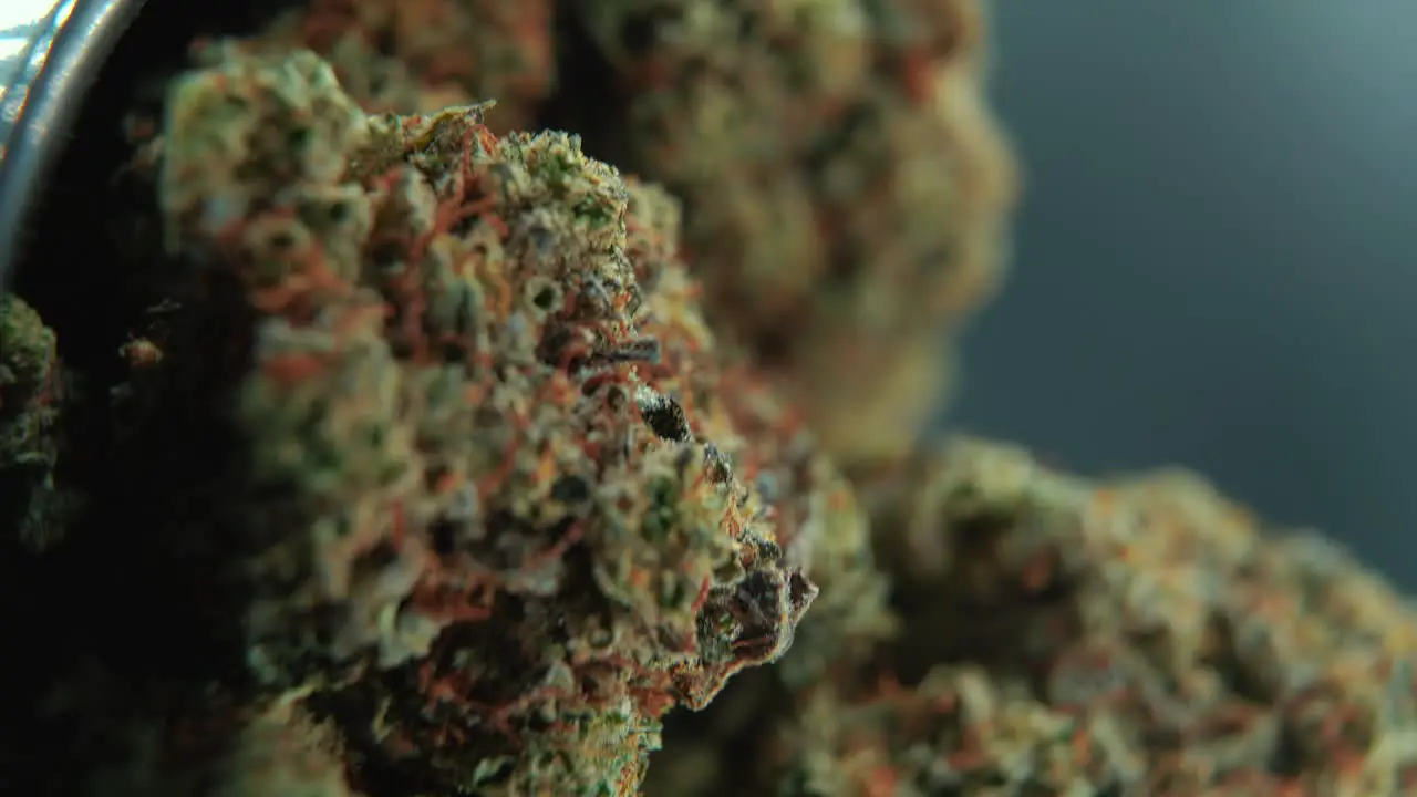 A vertical macro cinematic detailed shot of a cannabis plant orange hybrid strains Indica and sativa  green marijuana flower on a 360 rotating stand slow motion 4K  studio lighting