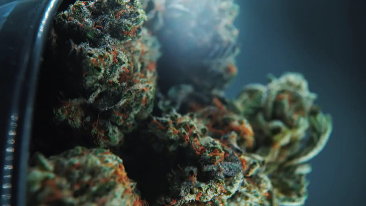 A vertical macro close up cinematic shot of a cannabis plant hybrid strains Indica and sativa marijuana flower on a 360 rotating stand in a shiny bowl slow motion 4K