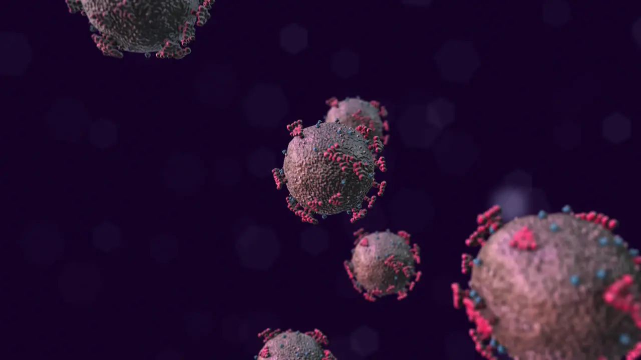 SARS-CoV-2 COVID-19 Virus Gently Spinning and Floating with Purple Background Under Microscope 3D Animation