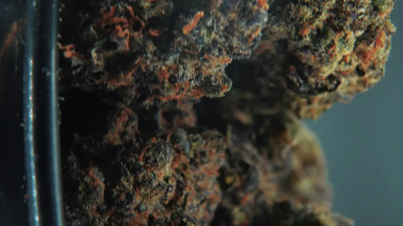 A vertical macro cinematic shot of a cannabis plant hybrid orange strains Indica and sativa marijuana flower on a 360 rotating stand black shiny bawl slow motion 4K video studio lighting