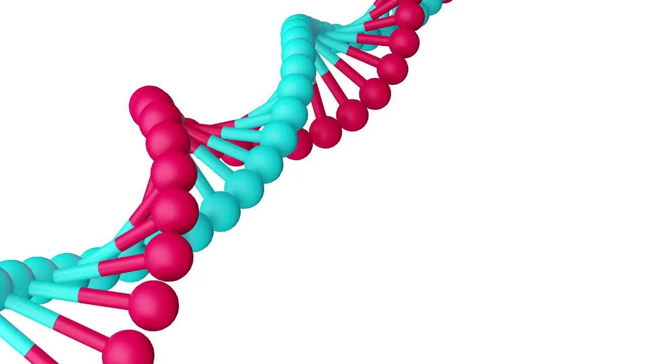 DNA molecule from rotating diagonally on white background