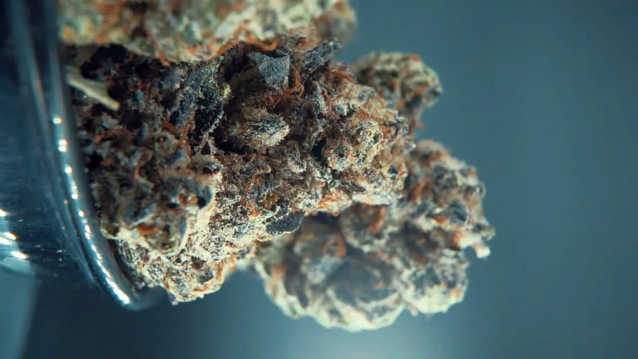 A vertical macro close up crispy shot of a cannabis plant marijuana flower hybrid strains Indica and sativa on a 360 rotating stand in a shiny bowl 120 fps slow motion Full HD studio lighting