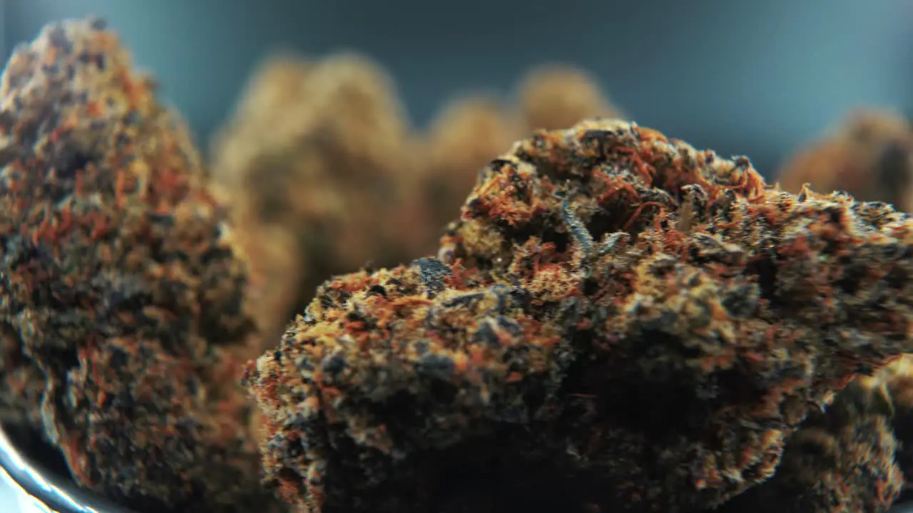 A close up macro cinematic detailed shot of a cannabis plant orange hybrid strains Indica and sativa dark purple marijuana flower on a rotating stand slow motion 4K professional studio lighting