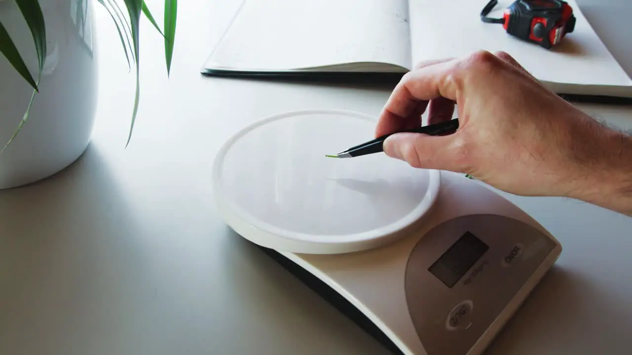 Scientist Weighing a Pine Leaf in Lab with Notebook and Tape in View