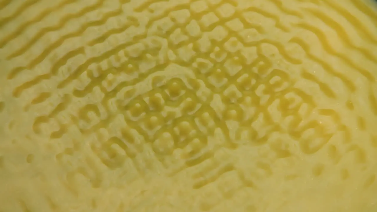 Macro top shot of yellow liquid moving and forming different cymatic patterns