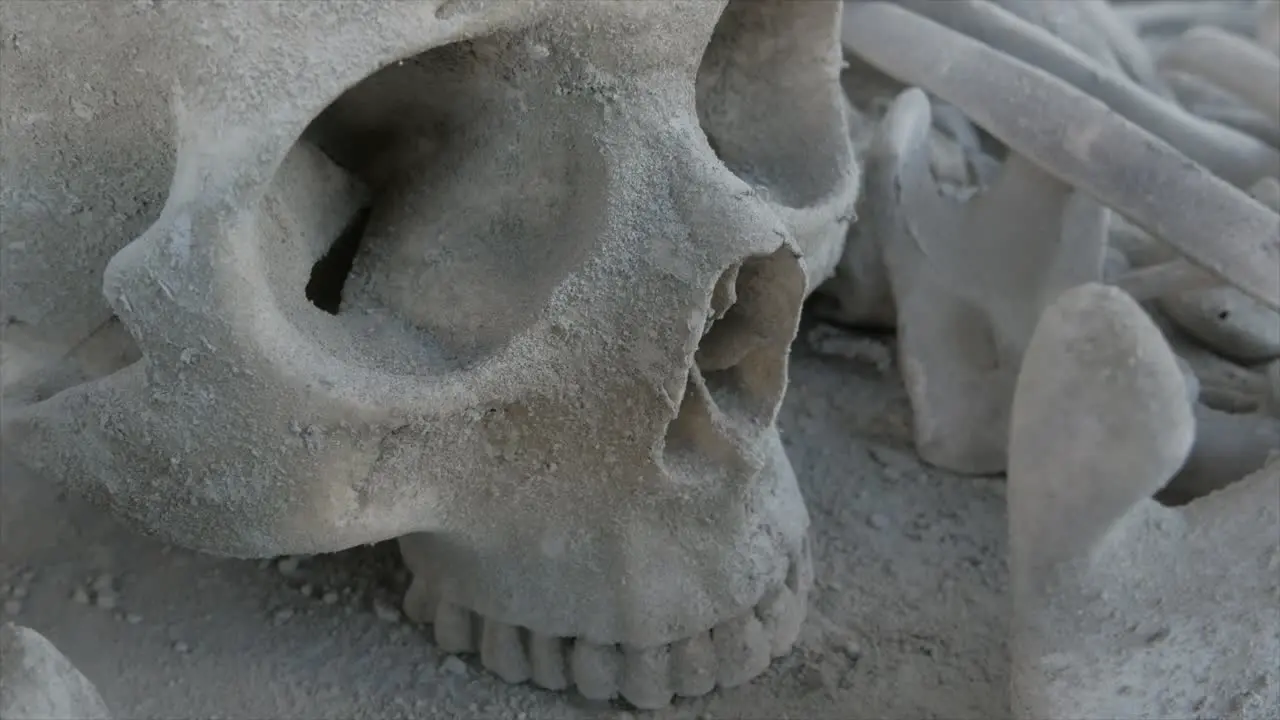 Still shot of human skull detail and bones in dust