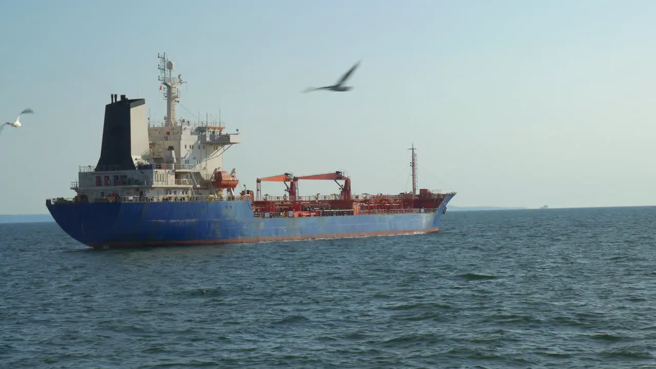 Seagull flying over the sea in summer sunny day in the background floating barges