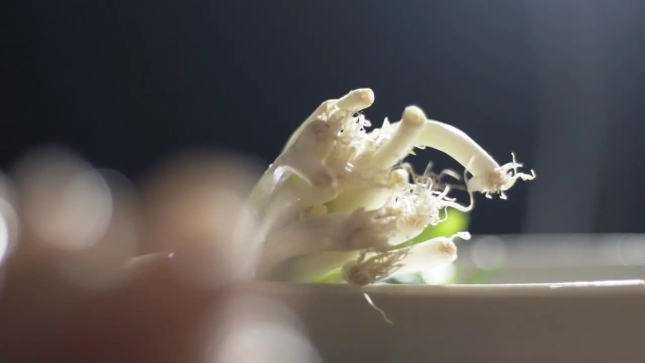 Close up shot revealing spring onions-scallions in a bowl