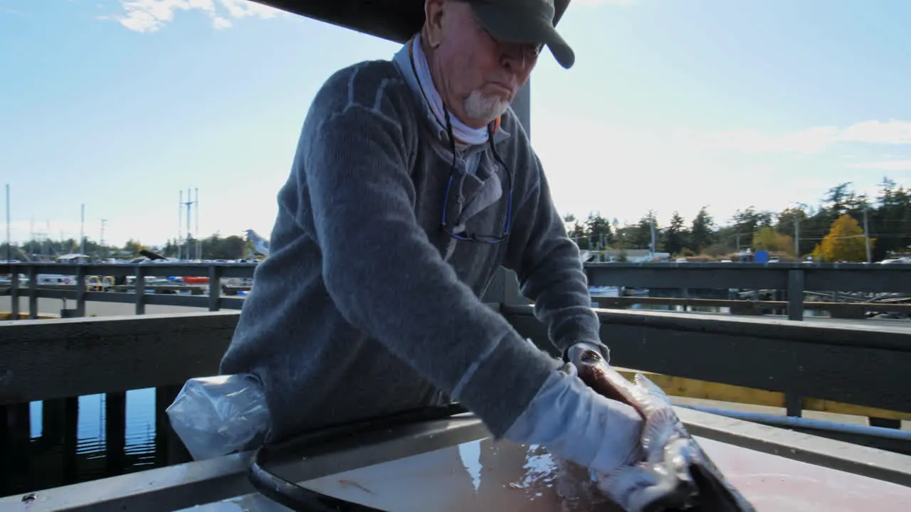 A man sitting outside taking the insides out of fresh fish