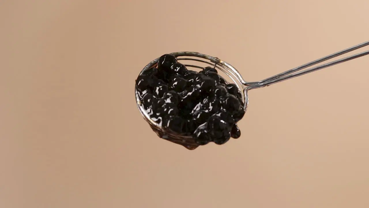 Juicy Black Tapioca Pearls Slowly Falling from Round Spider Strainer