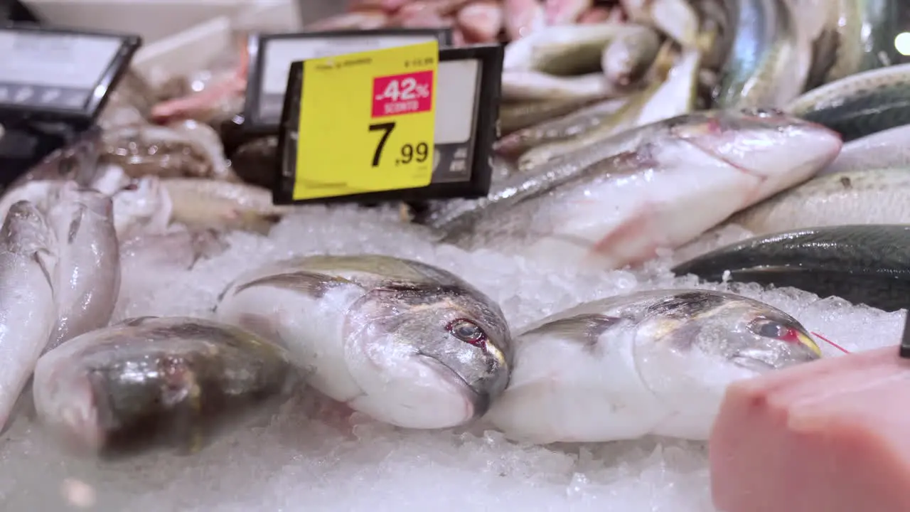 Fresh fish exposition at the fish shop