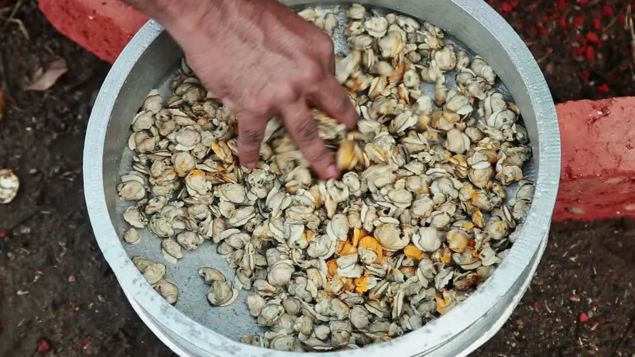 Adding turmeric powder to the black clam and mix well with hands Meat is cooked in a brick oven 