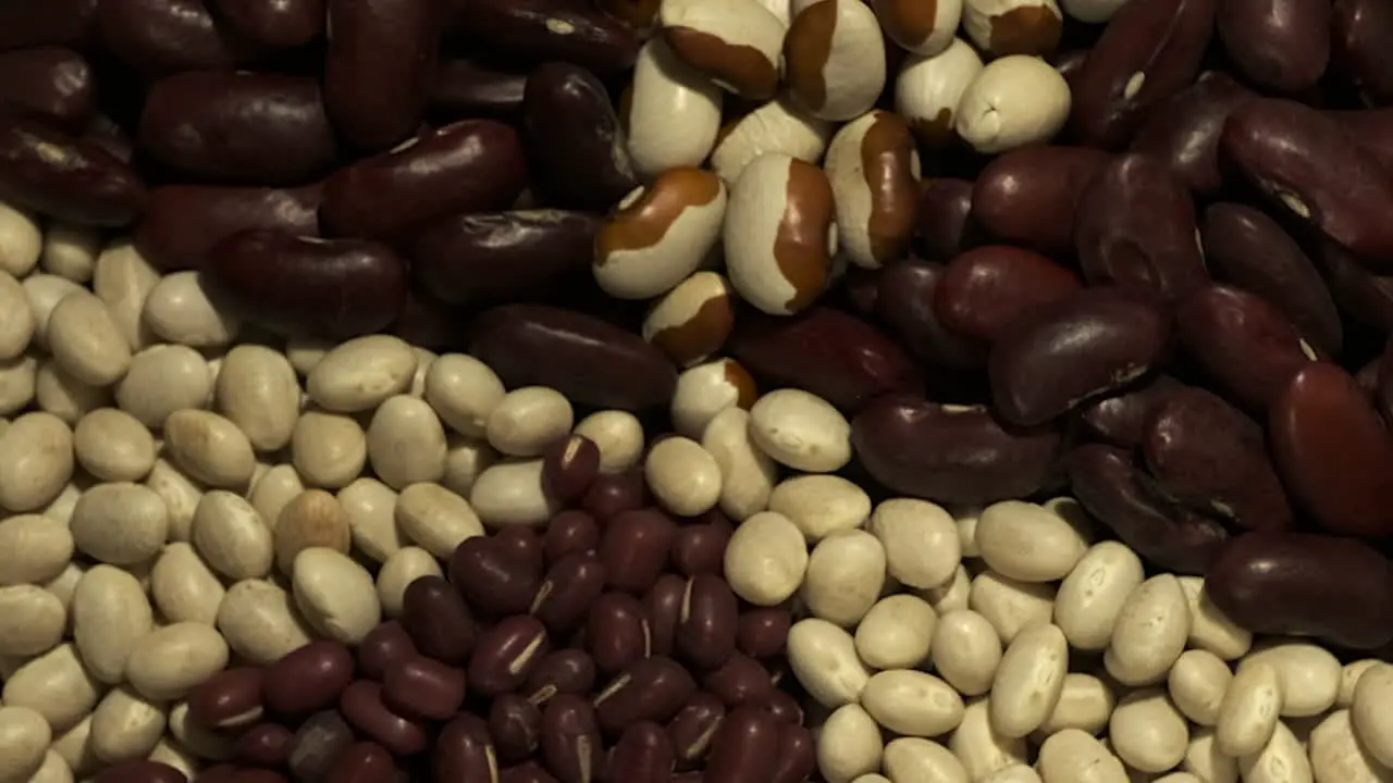 Beans Kidney Adzuki Navy Yellow-eyed beans rotate in closeup view