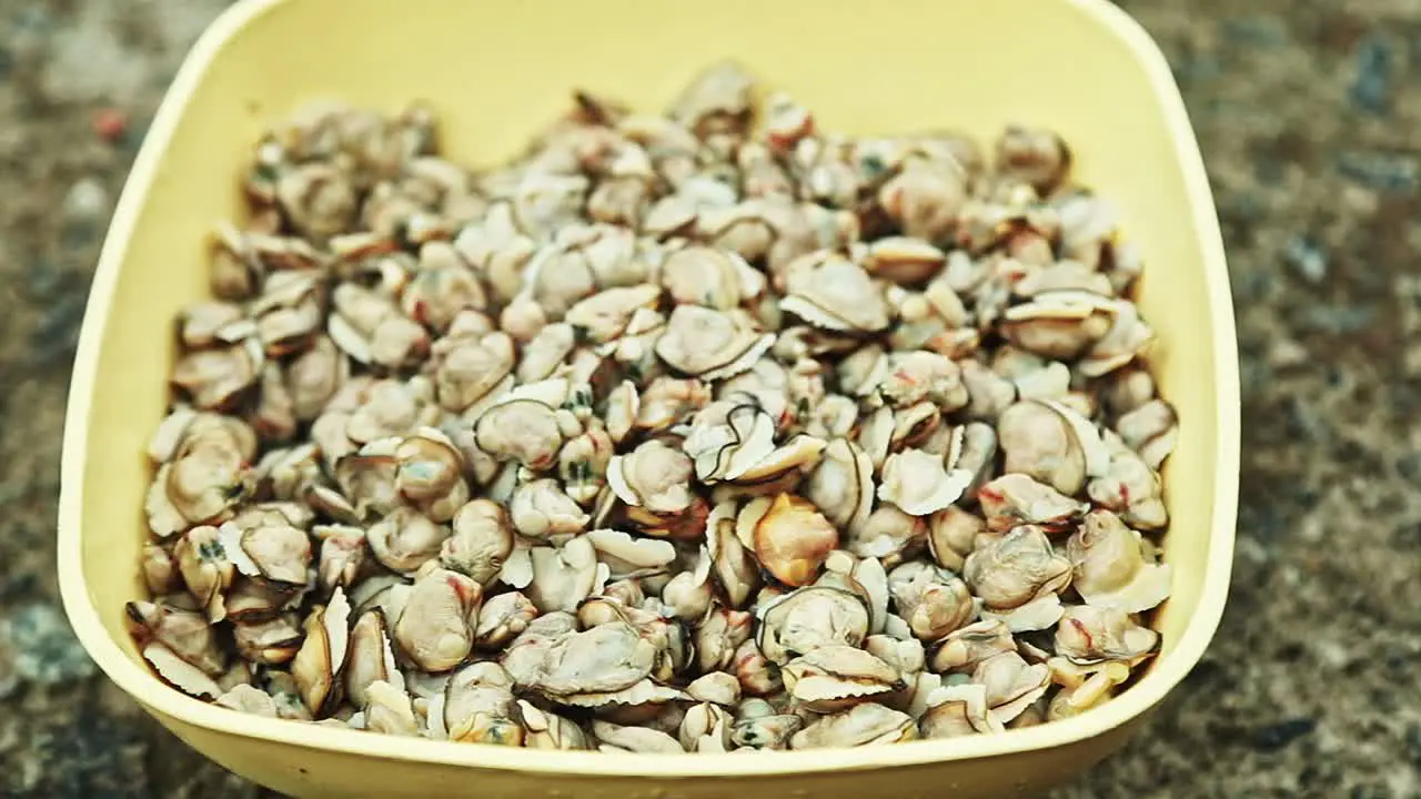 Black clam meat Filled the pot  The crust is removed and kept aside for cooking  Indian cooking