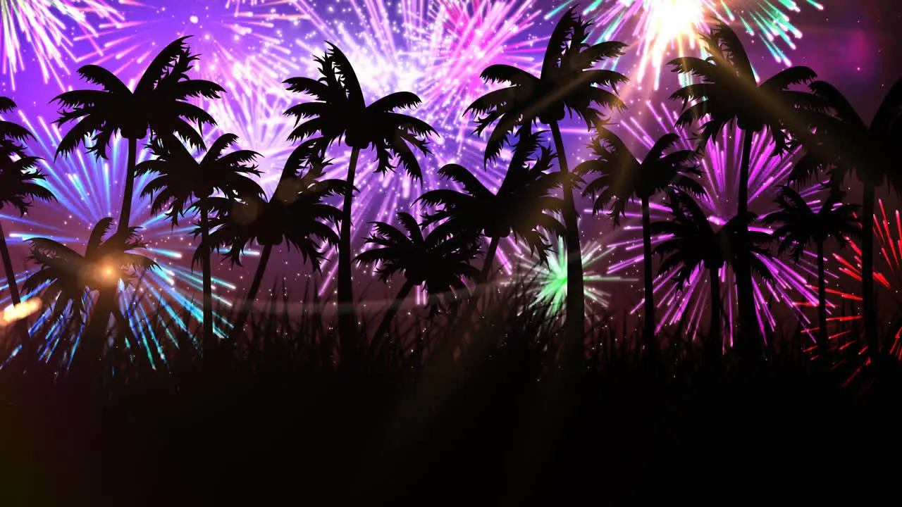 Animation of palm trees on tropical beach with fireworks in background