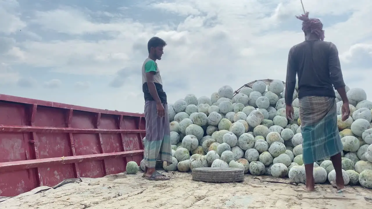 Two workers in a boat looking at a pile of freshly collected fruit