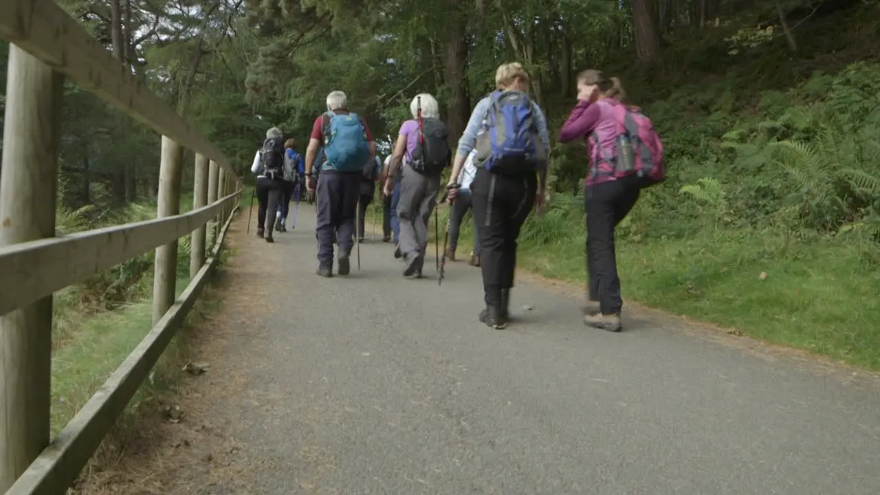 A group of hikers starting out on a beautiful trail beside a lake