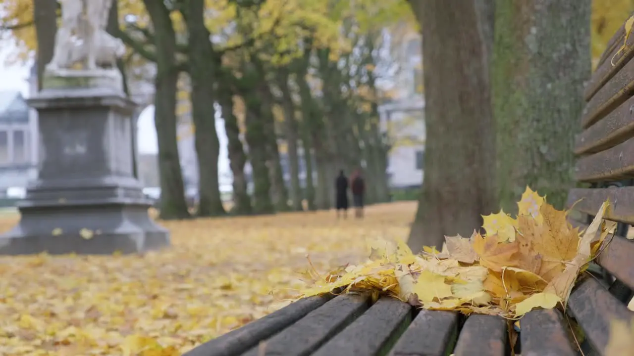 Man and woman walking and chatting at Jubelpark in Cinquantenaire in Brussels city centre fall season steady camera shot faded background