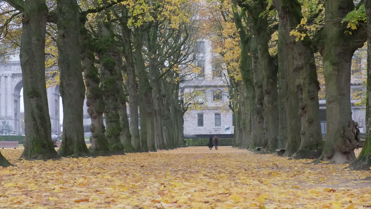 Man and woman walking and chatting at Jubelpark in Cinquantenaire in Brussels city centre fall season steady camera shot