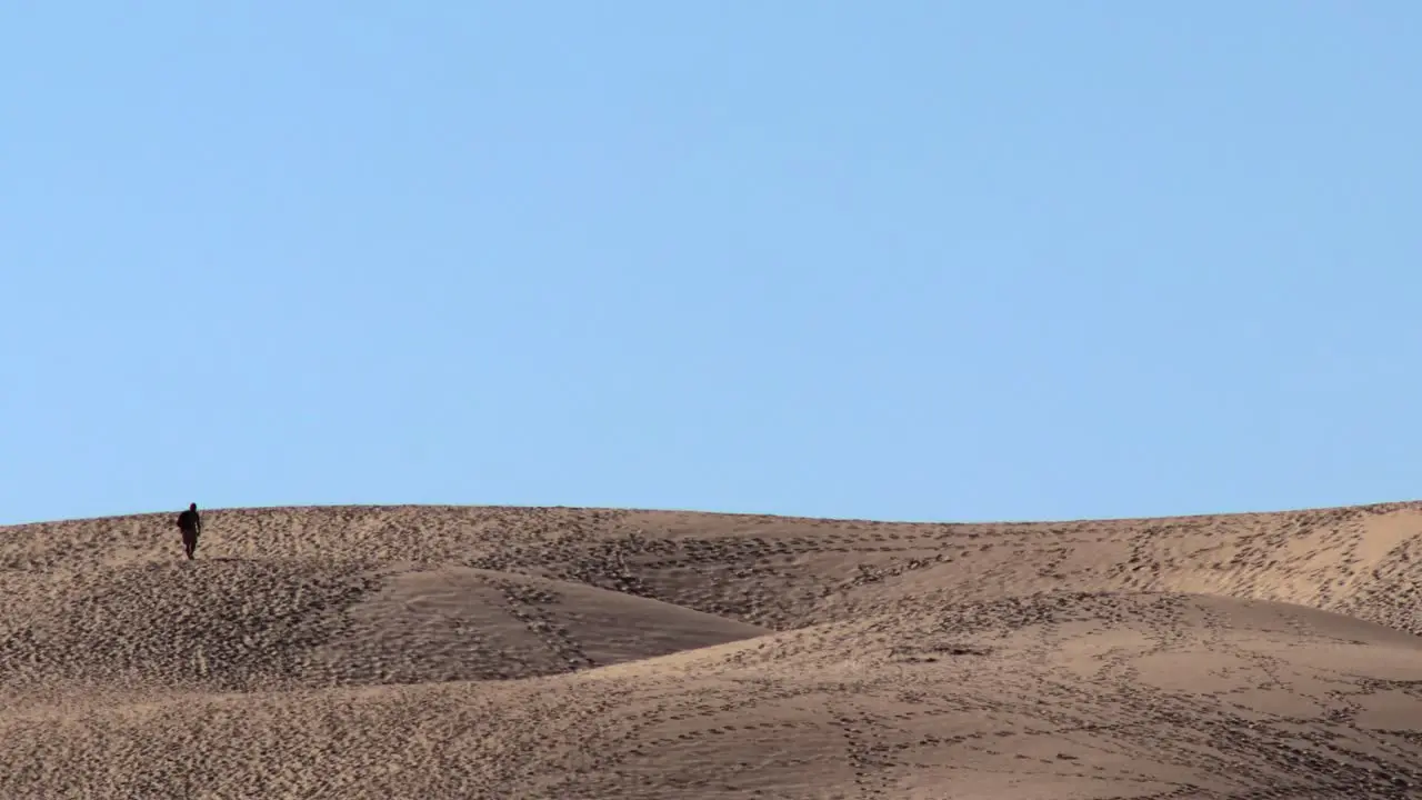 Lonely Man's Silhouette Strolling the Dunes