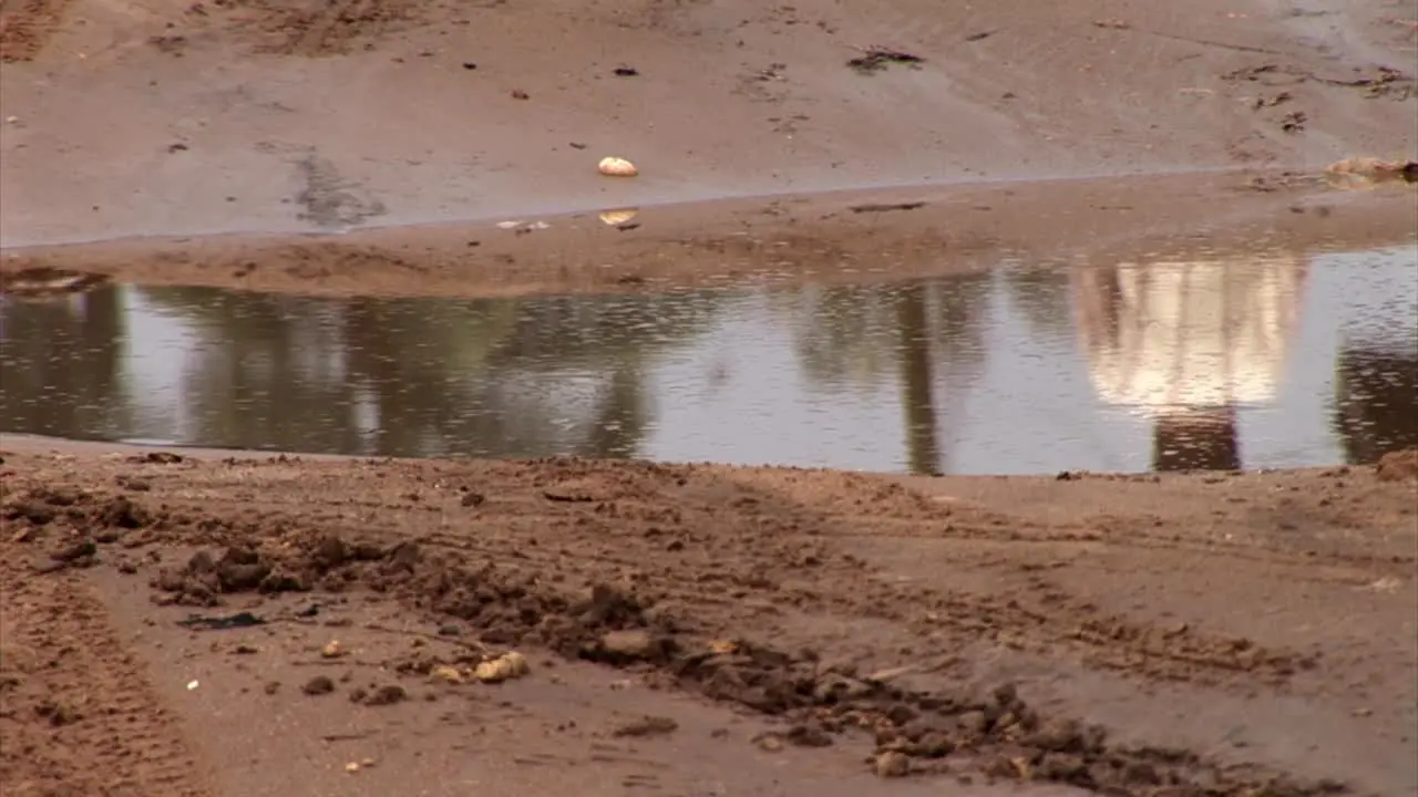 Reflections in a puddlepeople walking in Nigeria