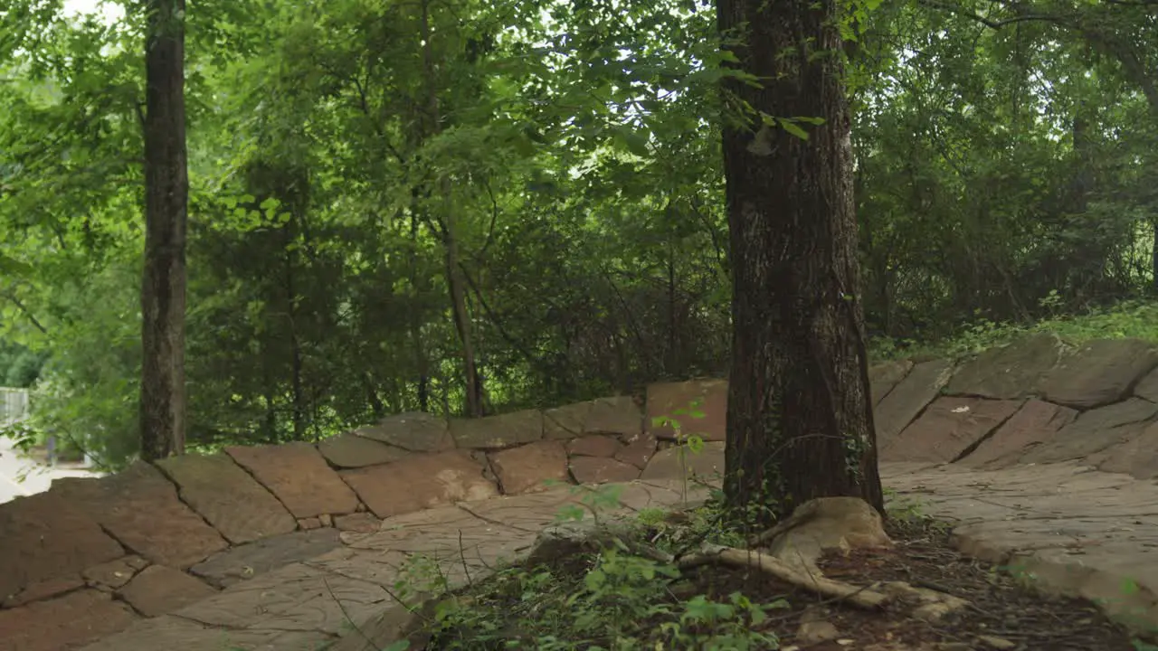 two bicyclists on a trail in the forest