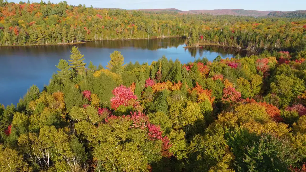 Aerial beautiful nature landscape multicolor forest near lake Montreal Canada