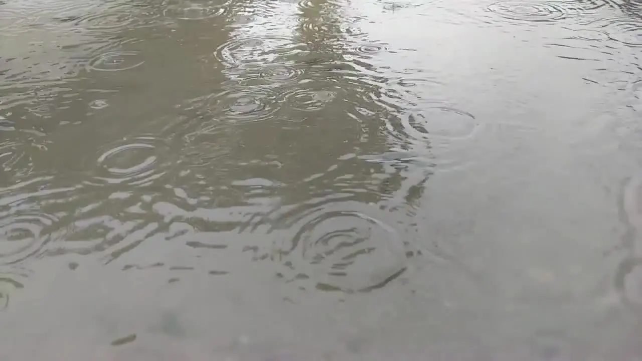 Slow motion of rain drops falling in a mud puddle