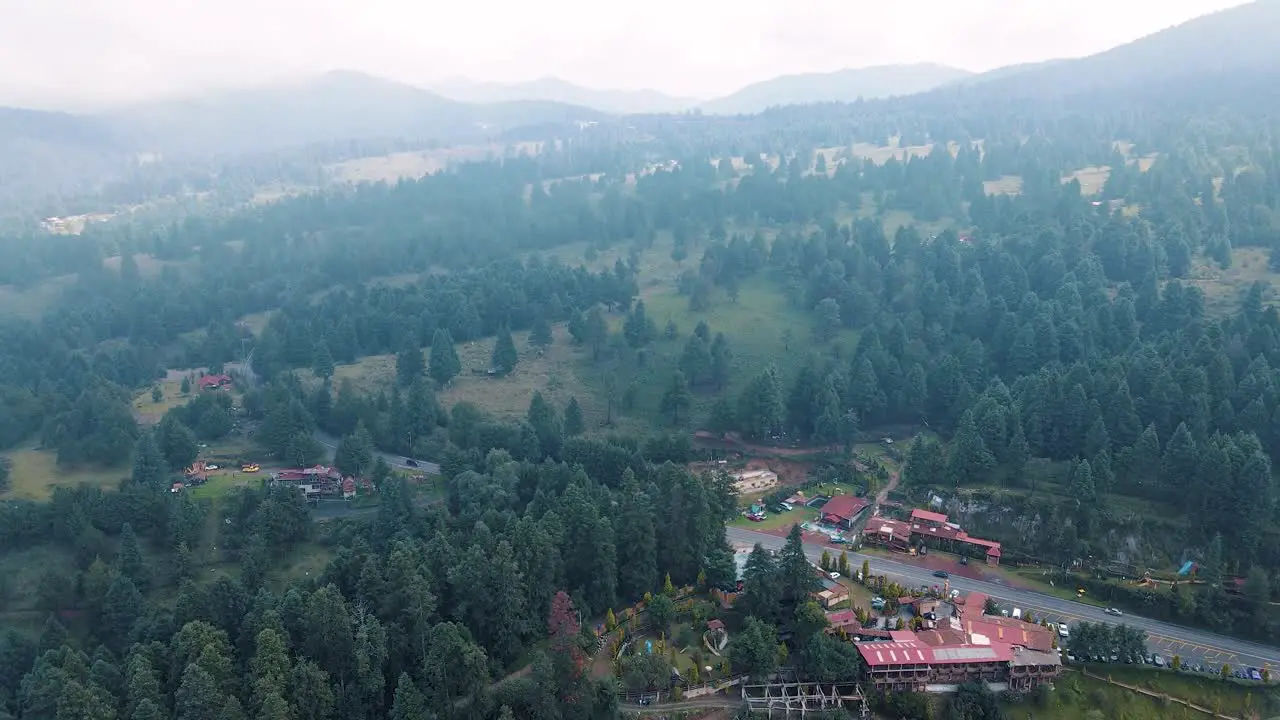 View of the woods near mexico city